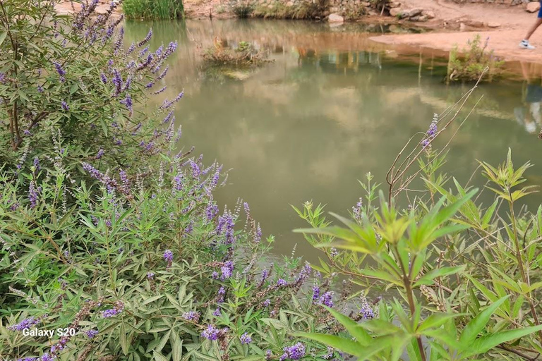 Agadir: Paradise Valley & Atlas Mountains Day Trip