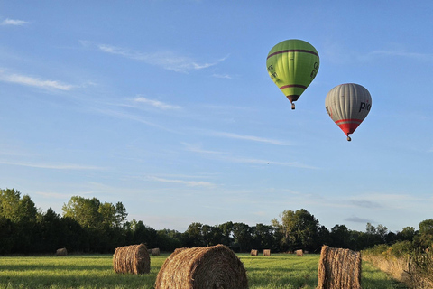 Niort and the Marais Poitevin: hot-air balloon flight from Coulon