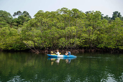 Zanzibar: wycieczka kajakowa z przewodnikiem po mangrowcach wyspy UziWycieczka prywatna bez odbioru z hotelu i transportu powrotnego