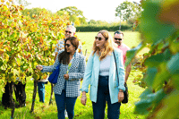 Van Brighton, Sussex Wine Tour op een vintage bus met lunch - Housity