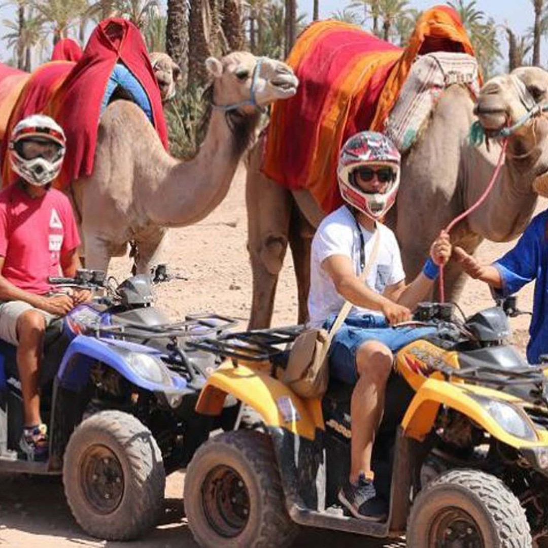 Au départ de Marrakech : excursion d'une demi-journée dans le désert en quad avec balade à dos de chameau - quad