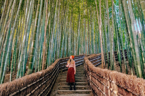 Quioto e Nara: tour privado de um dia em veículo com guia