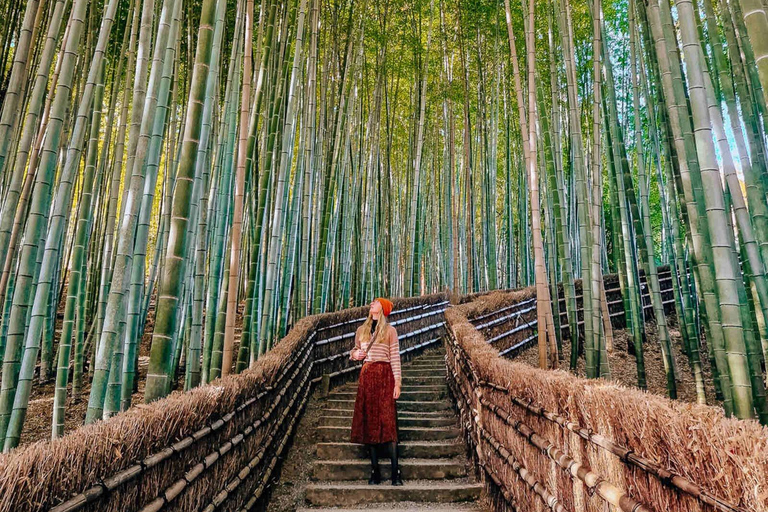 Quioto e Nara: tour privado de um dia em veículo com guia