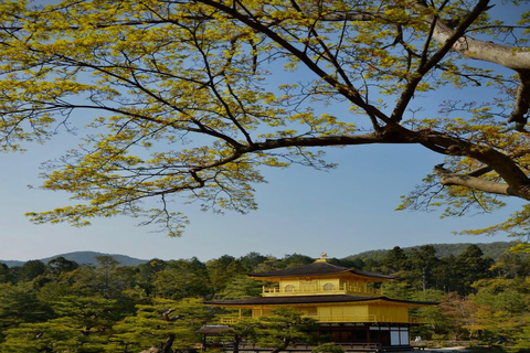 Kyoto Private Customizable Full Day Tour with Luxury Vehicle