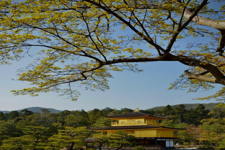 Kyoto Private Customizable Full Day Tour with Luxury Vehicle