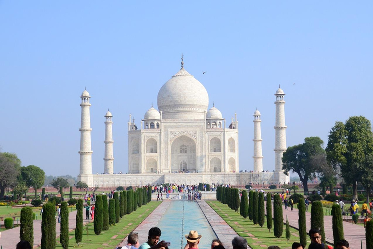 Depuis l&#039;aéroport de Delhi : Visite privée du Taj Mahal et du Fort d&#039;AgraVisite avec billets d&#039;entrée