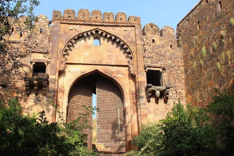 Depuis Delhi : voyage de plusieurs jours dans le Triangle d'Or avec safari tigresVisite du Triangle d'or de 7 jours sans hôtel