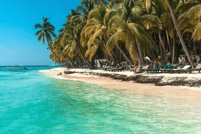 Punta Cana: Katamaran na wyspę Saona z posiłkiem, napojami i transportemPunta Cana: Katamaran na wyspę Saona z posiłkiem i napojami oraz transportem