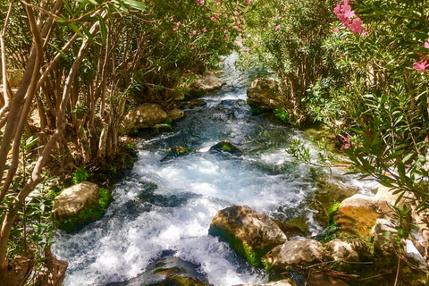 From Albir or Benidorm: Algar Waterfalls Day Trip From Benidorm with Gran Hotel Bali Meeting Point