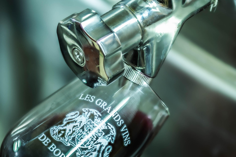 La Closerie de Fronsac: Classic Wine Tasting Tour La Closerie de Fronsac: Wine Tasting - Classic tour