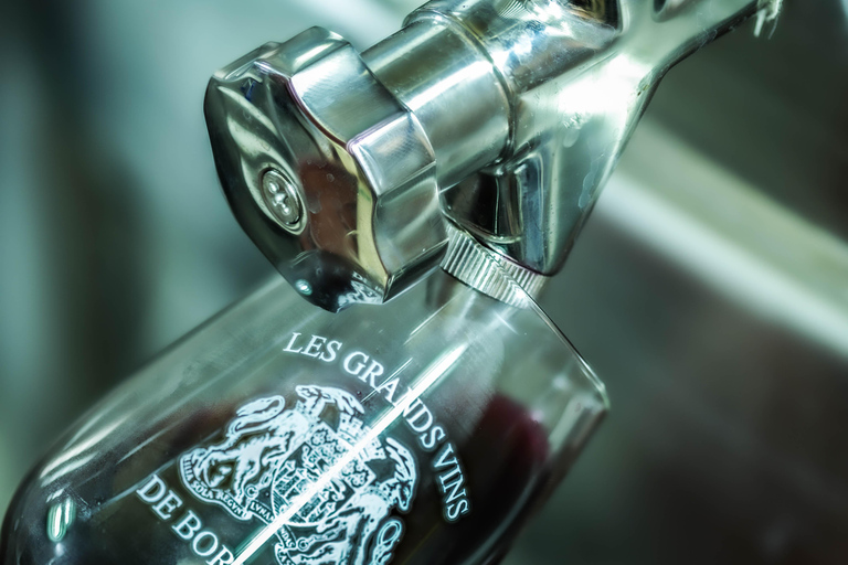 La Closerie de Fronsac: Classic Wine Tasting Tour La Closerie de Fronsac: Wine Tasting - Classic tour