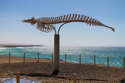 Fuerteventura: Dia inteiro - Explore o norte vulcânico