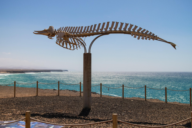 Fuerteventura: Heldag - Utforska den vulkaniska norra delen