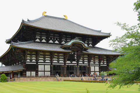 Kyoto/Osaka: Kyoto&Nara Private Customized Guided Tour