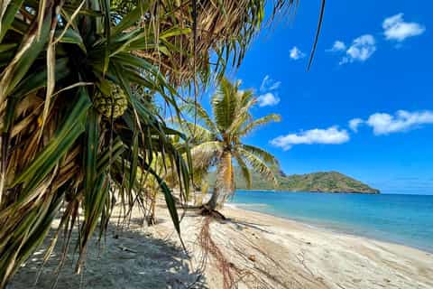 Nuku Hiva: Excursion vers les merveilleuses plages de Anaho et Haatuatua