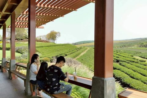 Descobre Chiang Rai: templos, arte e natureza cénicaDiscover Chiang Rai: Temples, Art, and Scenic Nature