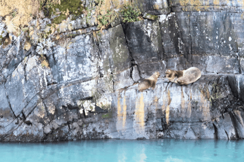 Puerto Natales : navigation vers les glaciers Balmaceda et SerranoPuerto Natales : Navigation vers les glaciers Balmaceda et Serrano