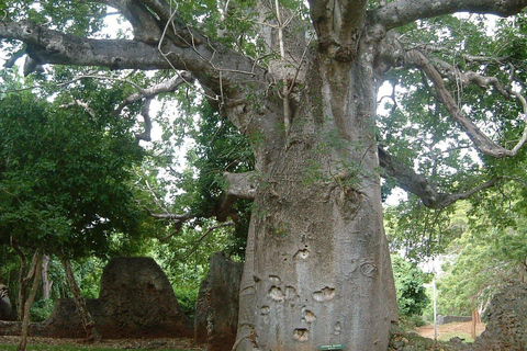Mombasa: Jumba Ruins Tour with Hotel Pickup