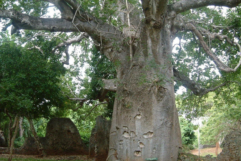 Mombasa: Jumba Ruins Tour with Hotel Pickup