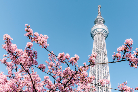 Tokyo : Exclusive Private Day Tour with Personalized Guide 6-Hour Tour