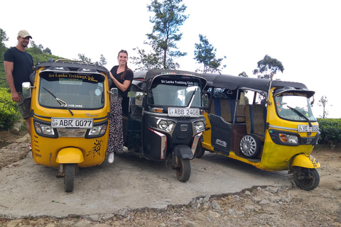 Esplora le cascate iconiche di Ella con un&#039;avventura panoramica in tuk-tuk