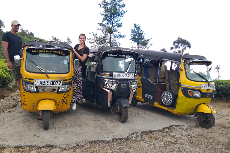 Esplora le cascate iconiche di Ella con un&#039;avventura panoramica in tuk-tuk