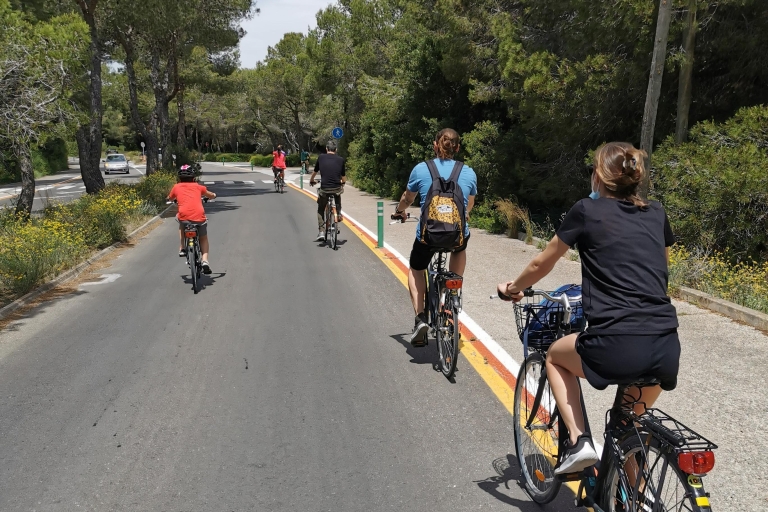 Naturpark Valencia Albufera: Fahrrad- und Bootstour