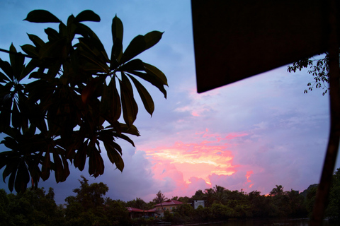 From Kuala Lumpur: Kuala Selangor Firefly Cruise & Dinner