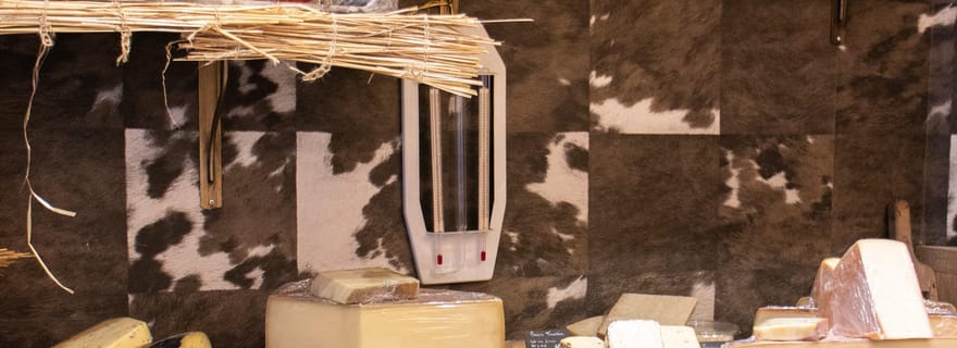 Visite d'une jounée de la gastronomie et visite et dégustation du Médoc