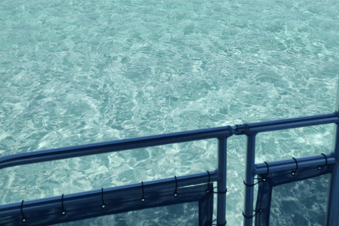 Crab Island: 4-Hour Crab Island Charter Experience