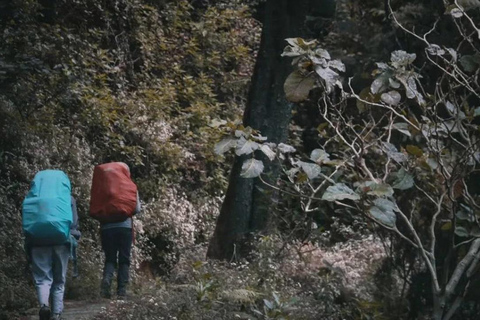 Escursione di un giorno sul Monte Prau