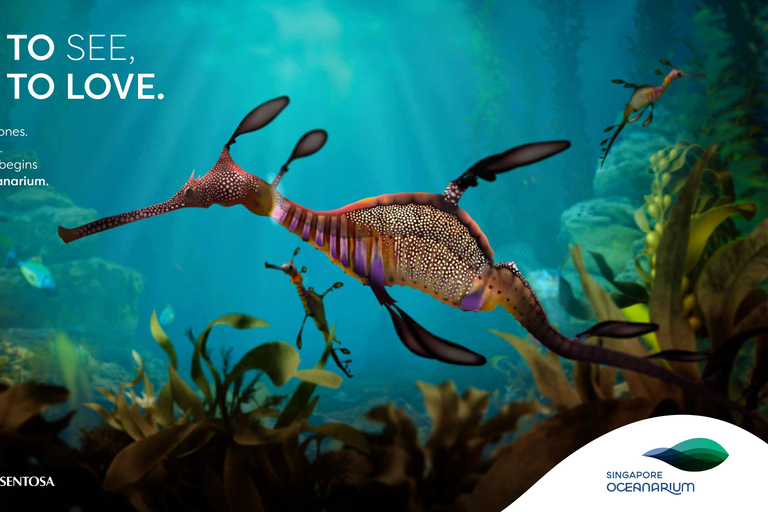 Singapur: Bilet wstępu do Oceanarium w SingapurzeBilet wstępu poza godzinami szczytu