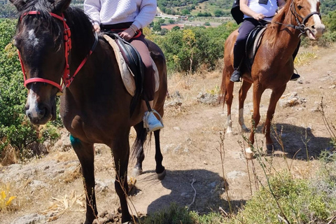 Bodrum: Horseback Riding Adventure with Hotel Pickup 2-Hour Forest & Beach Horse Riding with Transfers