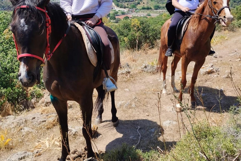 Bodrum: Horseback Riding Adventure with Hotel Pickup 2-Hour Forest & Beach Horse Riding with Transfers