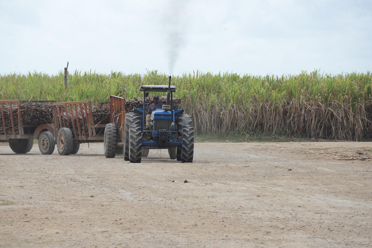Buggy Safari: Chavón River & Dominican Countryside Tour with Pickup from Bávaro