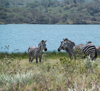 Momella-meer: Dagtochten en excursies vanuit Arusha