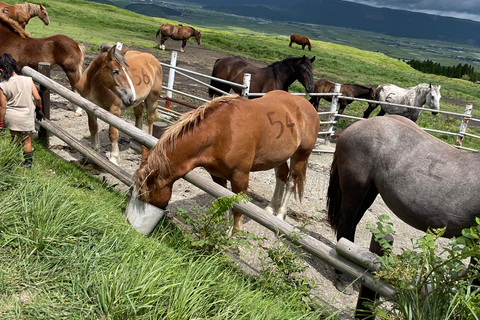 Au départ de Tokyo : visite privée de 14 jours au Japon avec hôtel et repas