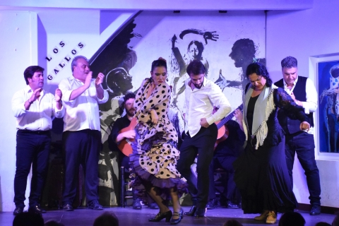 Sevilla: Flamenco-Show im Tablao Los Gallos