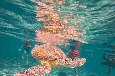 Cancun: Tulum Ruins, Akumal Turtles, Cenote & Caves Snorkel From Cancun