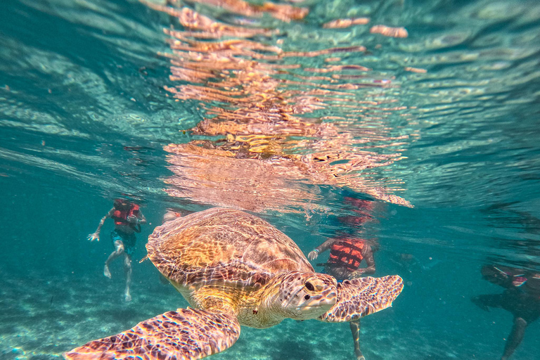 Cancun: Tulum Ruins, Akumal Turtles, Cenote & Caves Snorkel From Cancun