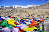 Mustang Teiji Festival 2024 - Housity