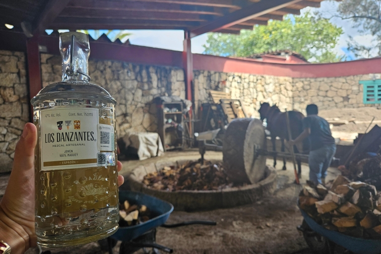 Mezcal Day Premium Family Distilleries Tour with Lunch