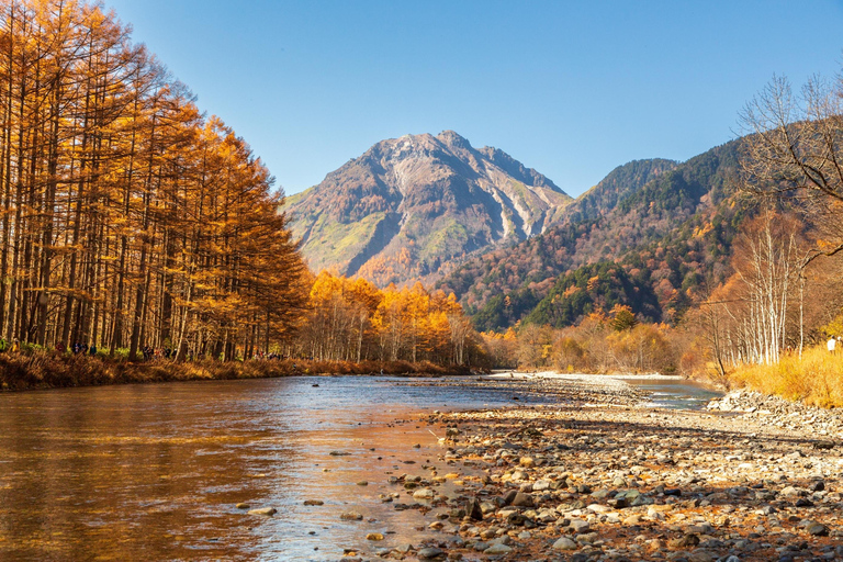 From Tokyo: Kamikochi Autumn Foliage Day Trip by Bus