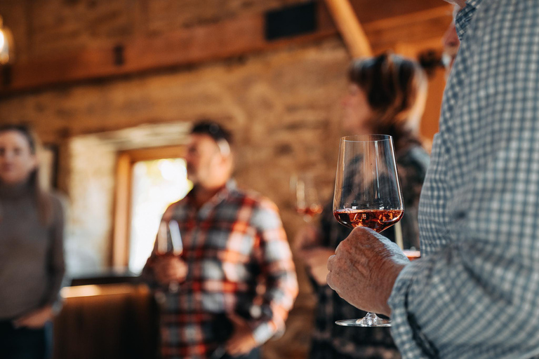 Queenstown: Premium Full-Day Central Otago Wine Tasting Tour