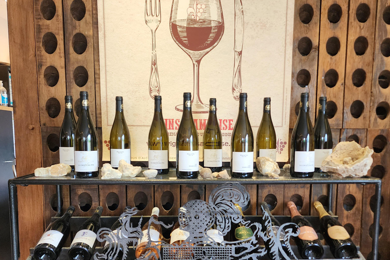 Loire Valley Wine Tour from Paris: 2 Wineries & 10 Tastings Premium Option