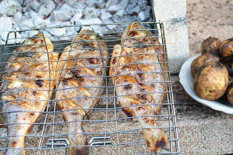 Hammamet: Carthage Tour & Pirate Boat Experience