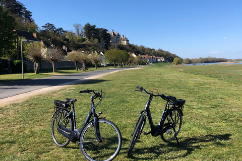 Loire-slott med elcykel