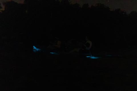 Cocoa Beach/Merritt Island:Bioluminescent kayak tour Single Kayak