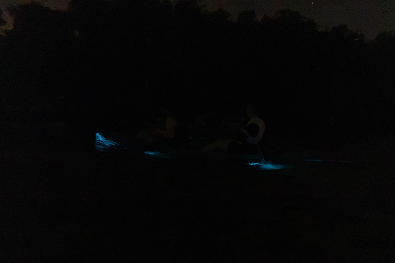 Cocoa Beach/Merritt Island:Bioluminescent kayak tour Single Kayak