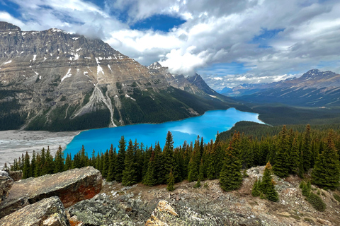 Da Banff/Canmore: Tour di Lake Louise e Icefield Parkway